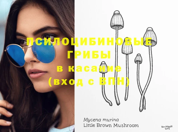 дмт Алексин