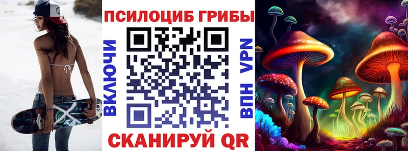 Галлюциногенные грибы GOLDEN TEACHER  хочу наркоту  Хилок 